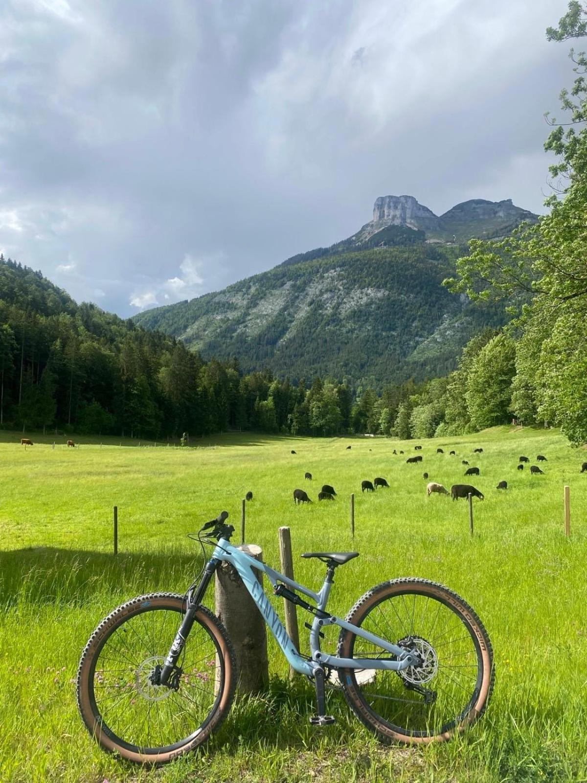 Ausseerland Apartments - Relax, Ski, Hike And Bike, Garden, Parking, Bbq, Near Hallstatt, Loser, Tauplitz And Krippenstein, Free Wi-Fi And Netflix 巴特奥塞 外观 照片