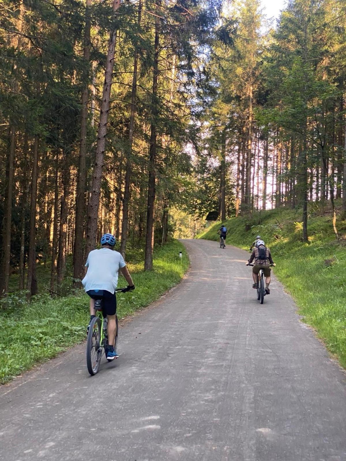 Ausseerland Apartments - Relax, Ski, Hike And Bike, Garden, Parking, Bbq, Near Hallstatt, Loser, Tauplitz And Krippenstein, Free Wi-Fi And Netflix 巴特奥塞 外观 照片