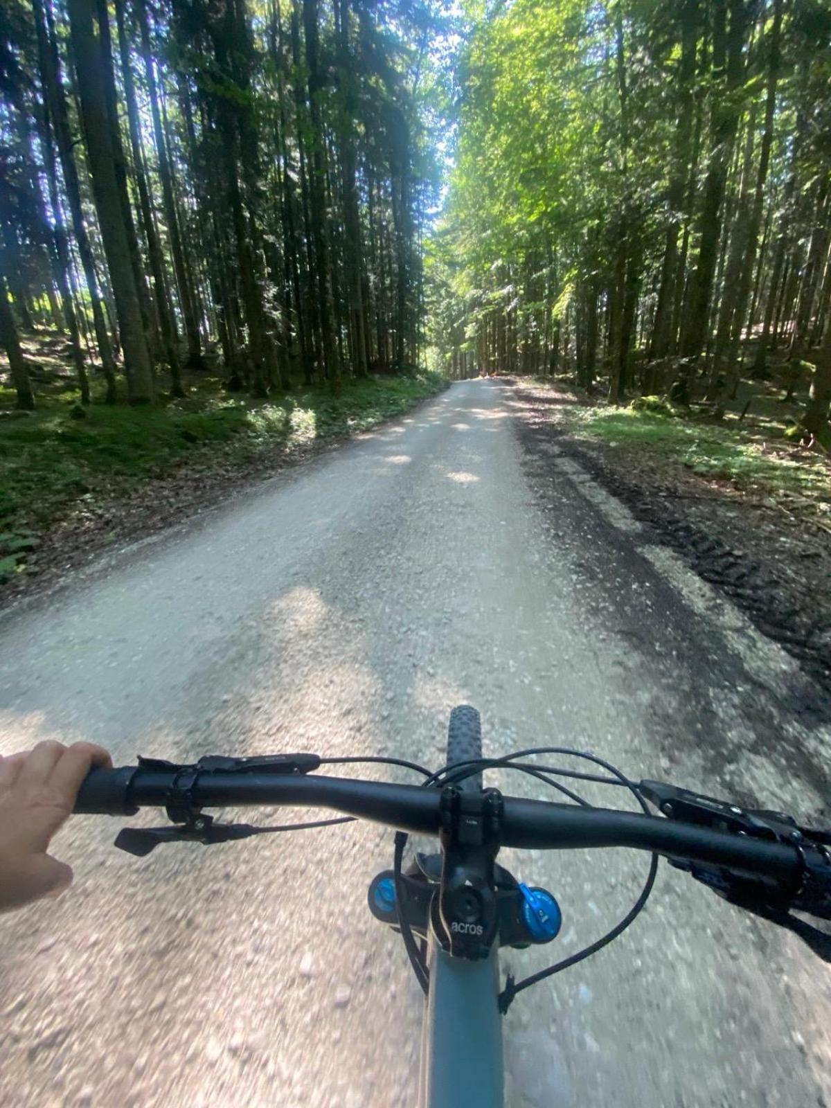 Ausseerland Apartments - Relax, Ski, Hike And Bike, Garden, Parking, Bbq, Near Hallstatt, Loser, Tauplitz And Krippenstein, Free Wi-Fi And Netflix 巴特奥塞 外观 照片